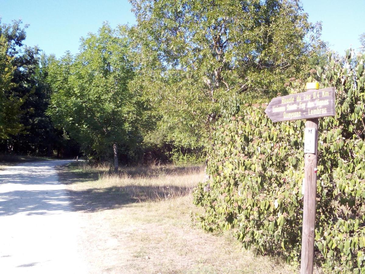 T2 36 M2 Pres Du Lac, Parc 55 Hectares Accessible A Pied ! Μπερζεράκ Εξωτερικό φωτογραφία